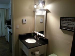 La salle de bains est pourvue d'un lavabo et d'un miroir. dans l'établissement Edgewater Motel, à Oyster Bay