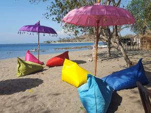 Φυσικό τοπίο κοντά σε αυτό το hostel