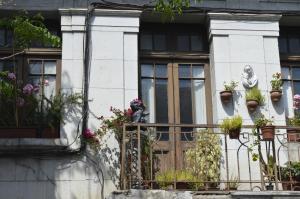 En hage utenfor Casa dos Leones