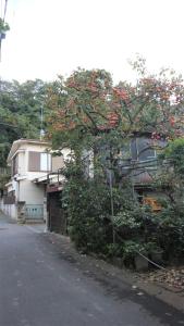 un árbol con flores rojas al lado de una casa en Sadie's Home, en Waizumi