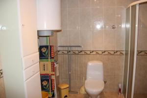 a small bathroom with a toilet and a shower at Rėzos Apartments in Juodkrantė +36 photos