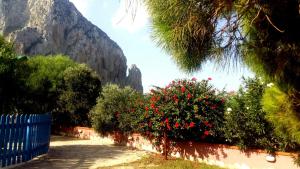 a row of bushes with red flowers in front of a mountain at Baglio Del Sole in San Vito lo Capo