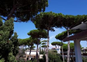 Galeriebild der Unterkunft BUBA BnB SUPERIOR in Anzio