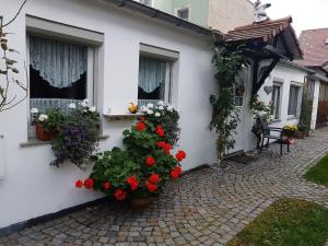 Una casa blanca con flores a un lado. en Ferienwohnung Heyne en Weinböhla
