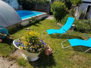 a yard with two chairs and a flower pot and a pool at Ferienwohnung Heyne in Weinböhla