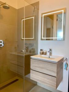 een badkamer met een wastafel en een douche met een spiegel bij Waterfront Studio in Amsterdam