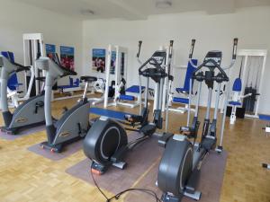 Fitness centrum a/nebo fitness zařízení v ubytování Hotel Arenenberg