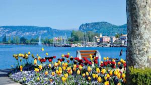 a flower bed of tulips in front of a lake at Hotel Alla Riviera in Bardolino