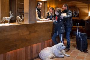 a group of people standing next to a counter with a dog at Hôtel Au Chamois d'Or by Les Etincelles in L'Alpe-d'Huez +118 photos
