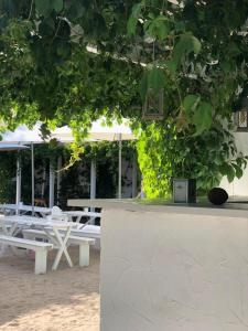 Zahrada ubytování Casa Stavros