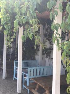 Zahrada ubytování Casa Stavros