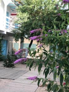 Zahrada ubytování Casa Stavros