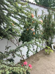Zahrada ubytování Casa Stavros