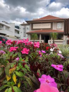 un grupo de flores rosas frente a un edificio en Pousada Casarão Schmidt, en Pomerode