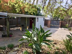 a small white shed with a red door in a yard at The Cottage 60 on 21st Avenue in Mossel Bay +2 photos