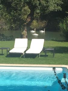 two chairs and a pool with swans in the water at Villa Louise-Rose in Villeneuve-Loubet