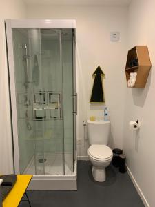 a bathroom with a toilet and a glass shower at L'Atelier in Le Mans