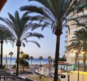 ベナルマデナにあるBenalroma a 50 metros de la playa!のヤシの木が植わるホテルから海の景色を望めます。