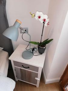 une table avec une lampe et une plante en pot sur celle-ci, dans l'établissement Welcome Home, à Milan