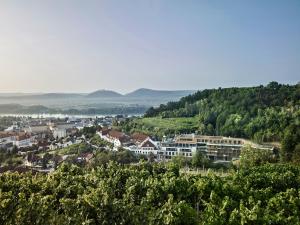 Steigenberger Hotel & Spa Krems في كريمس ان دير دوناو: بلدة على تلة فيها اشجار ومباني