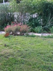 Ogród w obiekcie Villa los Angeles Piscine privée 16 pers