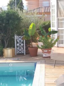 Basen w obiekcie Villa los Angeles Piscine privée 16 pers lub w pobliżu