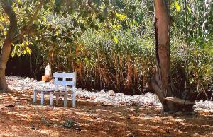 Kebun di luar Quinta do Meco - Beach & Nature