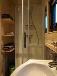 ein Bad mit einer Dusche und einem Waschbecken in der Unterkunft Rhön Lodge in Poppenhausen