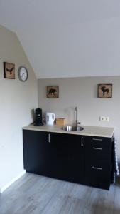 Köök või kööginurk majutusasutuses Slapen an de Veenvaart