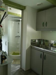 a small kitchen with a sink and a shower at Chalet Du Bas-Mée in Le Mée