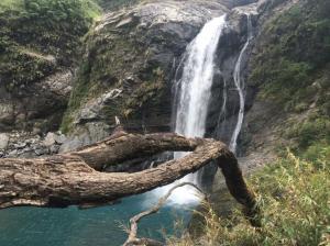 una cascada en el lado de una montaña con una rama en el agua en Grace House Homestay 2, en Majia
