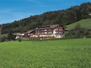 a large building in the middle of a green field at Ferienhotel Sunshine in Berg im Drautal