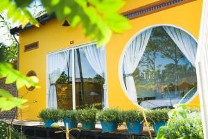 芹苴的住宿－Binh Minh Eco Lodge，黄色房子,有白色窗帘和盆栽植物