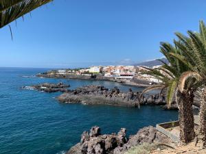 grupa palm i ocean w obiekcie Alcalà Center A 5 minutos del paseo y playas w mieście Alcalá