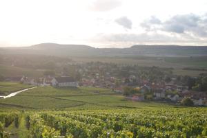 Photo de la galerie de l'établissement Le Clos Moussy, à Moussy