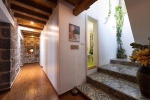 Fotografia z galérie ubytovania Villa Canaria piscina jacuzzi jardín v destinácii Santa Maria de Guia de Gran Canaria