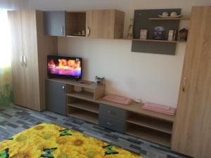 a room with a tv and a bed in a room at apartament parc cetate in Alba Iulia