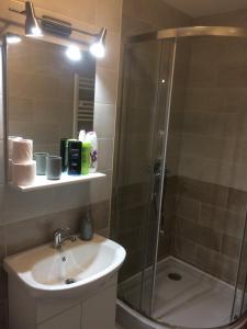 Ένα μπάνιο στο apartament parc cetate +21 φωτογραφίες