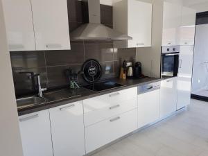 Kuchyň nebo kuchyňský kout v ubytování Apartments4friends Apartment VLAD