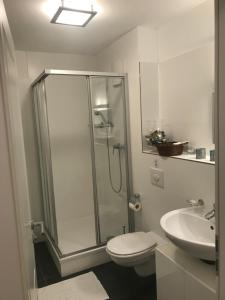 een badkamer met een douche, een toilet en een wastafel bij Helle Souterrainwohnung mit Komfort in München