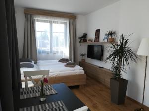 Foto da galeria de Apartmány U Holubů em Rožnov pod Radhoštěm