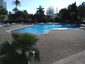 a swimming pool in a resort with palm trees at Laura Sunbeach in Alcudia