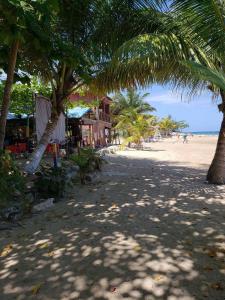 a beach with palm trees and people walking on the beach at Reef Winds Villa in Runaway Bay