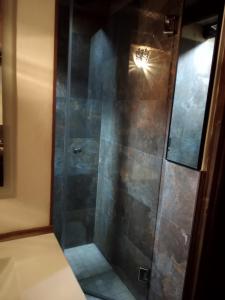een douche met een glazen deur in de badkamer bij Casa con encanto en Valdelarco in Valdelarco