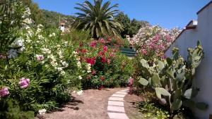 Fotografie z fotogalerie ubytování B&B Vacanza Facile v destinaci Costa Rei