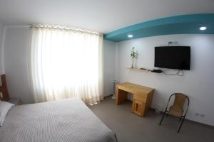 1 dormitorio con 1 cama y TV en la pared en Hotel Balistra, en Ica
