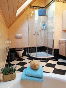 a bathroom with a shower and a tub at Ferienwohnung Wilhelm in Springstille