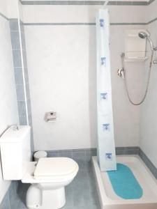 La petite salle de bains est pourvue d'une douche et de toilettes. dans l'établissement Casa Mia Miniapartment, à Riposto