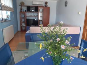 salon ze szklanym stołem i wazą kwiatów w obiekcie Apartment Villa Brig w mieście Tinjan