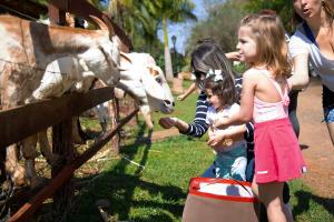 Duas meninas a alimentar uma girafa num jardim zoológico. em Hotel Fazenda Areia que Canta em Brotas
